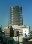 2008061302.jpg