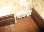 画像 011up.jpg
