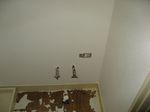 080803_175957.JPG