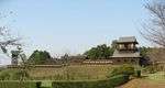 画像 1004007up.jpg
