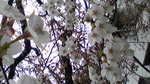 Image060.jpg