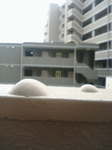 f1000006.jpg