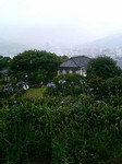 nagasaki018.jpg