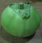 nanndarou001.jpg